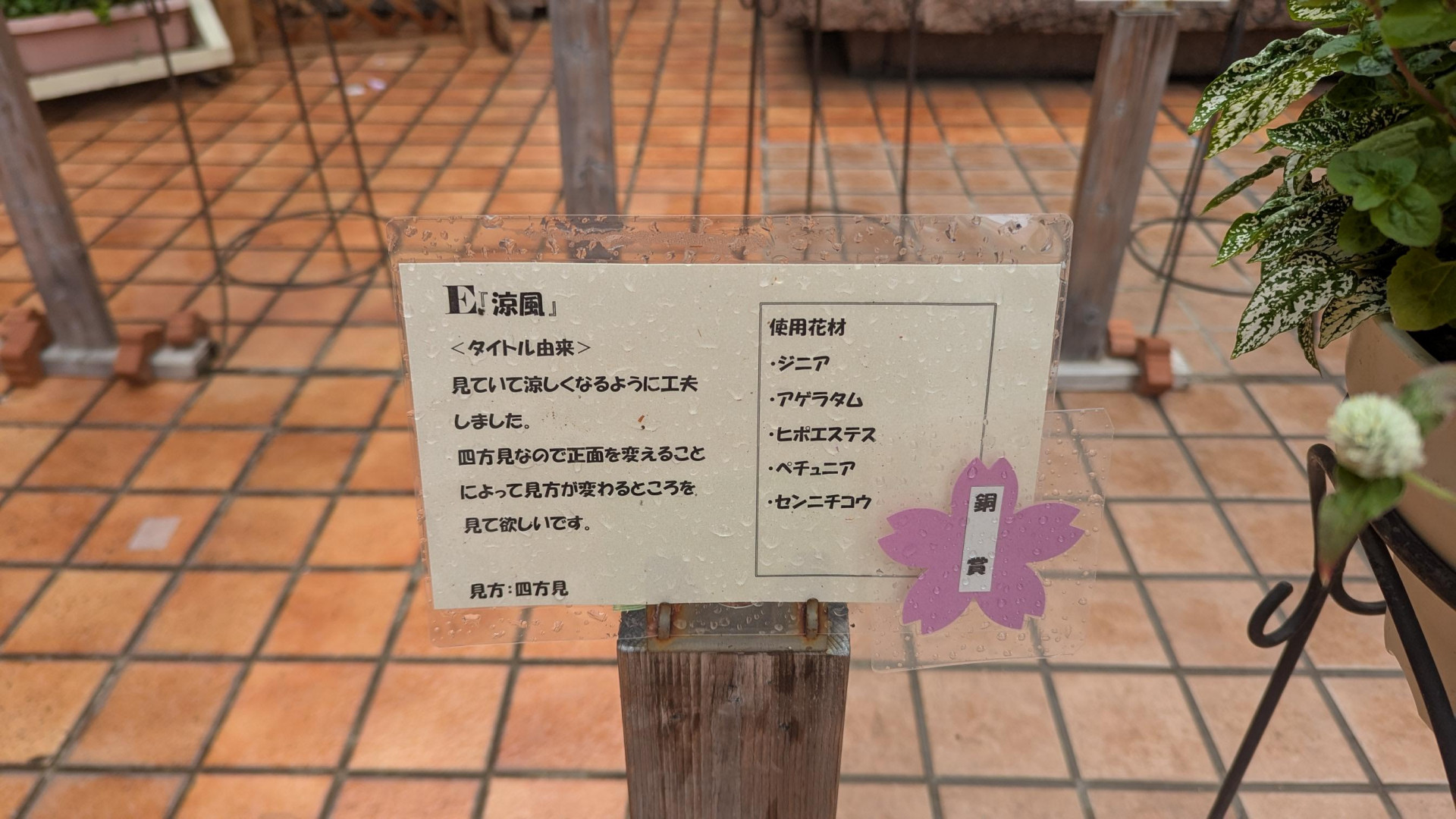 メディア (10)